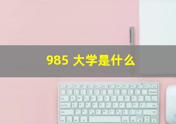 985 大学是什么